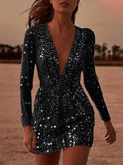Delicate Sequined V Neck Mini Dress