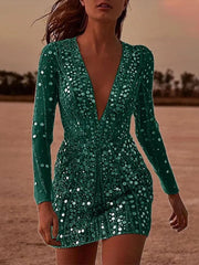 Delicate Sequined V Neck Mini Dress