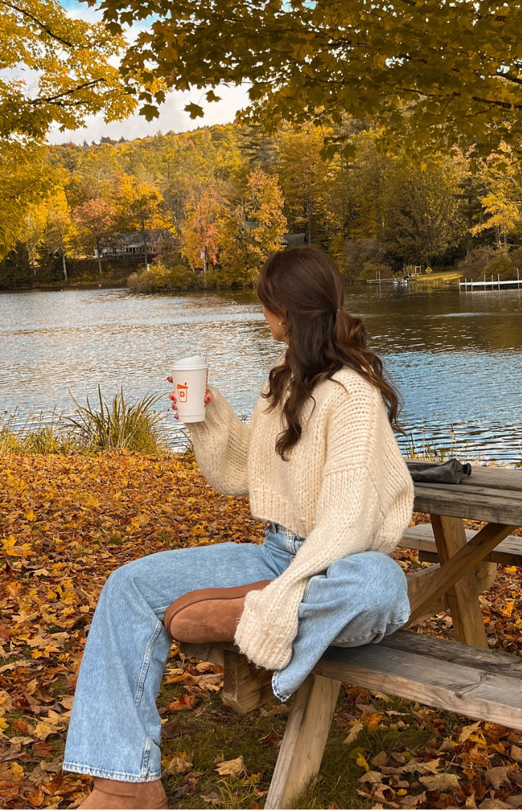 Cream Knit Crop Sweater