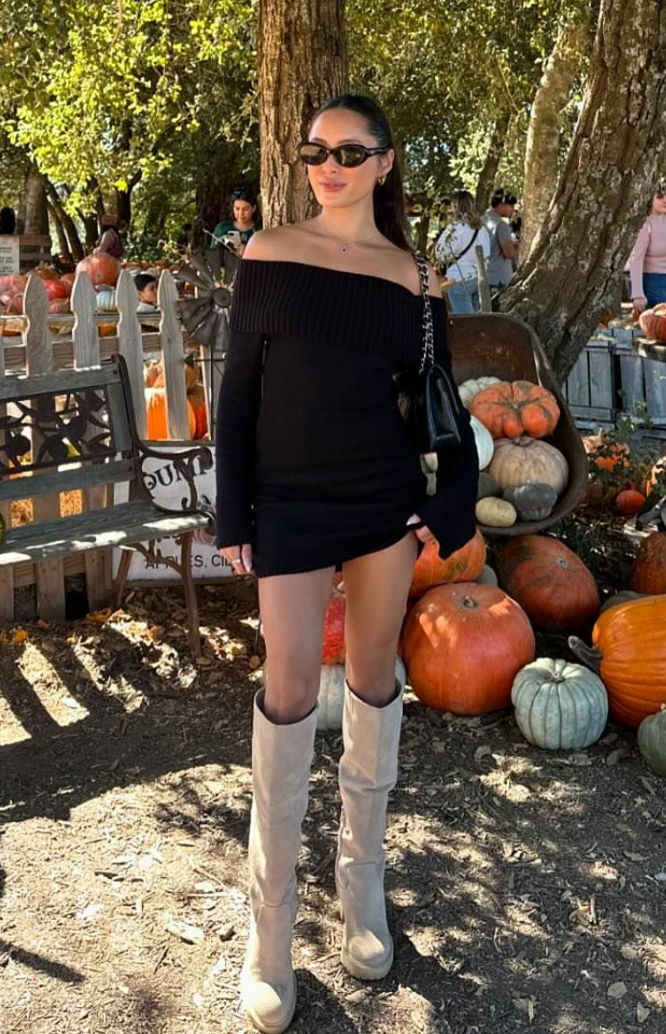 Black Long Sleeve Knit Mini Dress